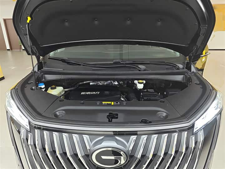 Trumpchi M8 2024 400 T — фото 13