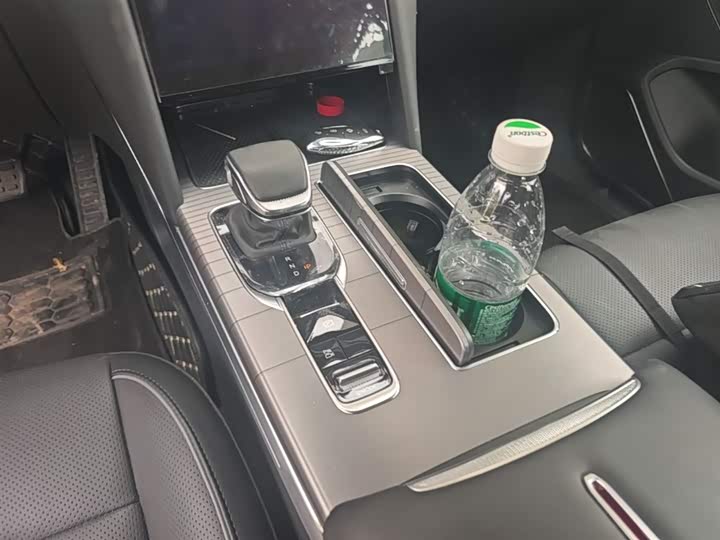 Hongqi HS7 PHEV 2024 2.0 T PHEV 4 WD 7 — фото 14