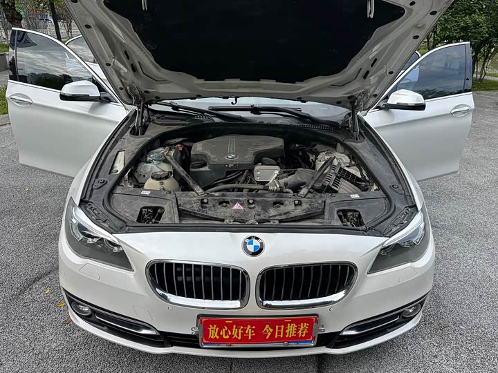 BMW 5 Series 525Li — фото 19