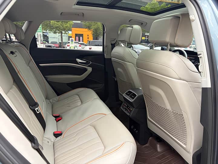 Audi e-tron 50 quattro премиум — фото 19