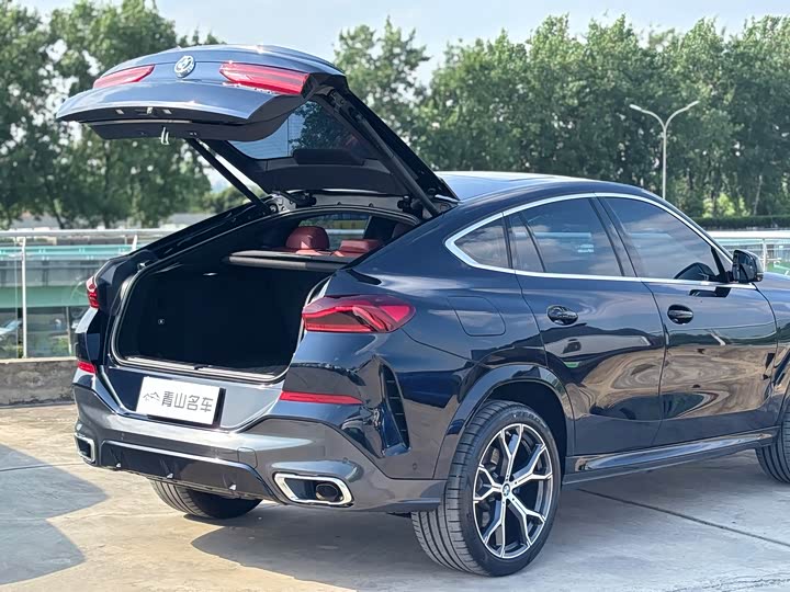 BMW X 6 2022 x Drive 40i M — фото 17