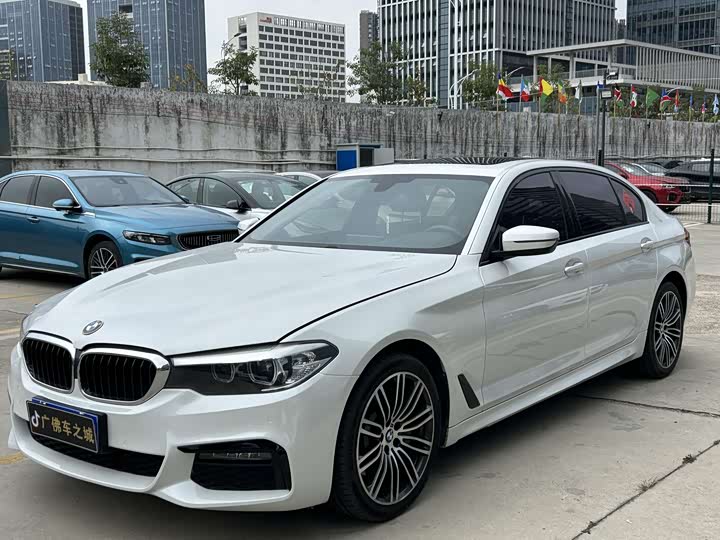 BMW 5-Series 2019 530 Li Leading M — фото 1