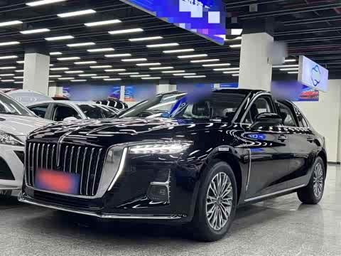 Hongqi H5 2025 1.5 T DCT — фото 26