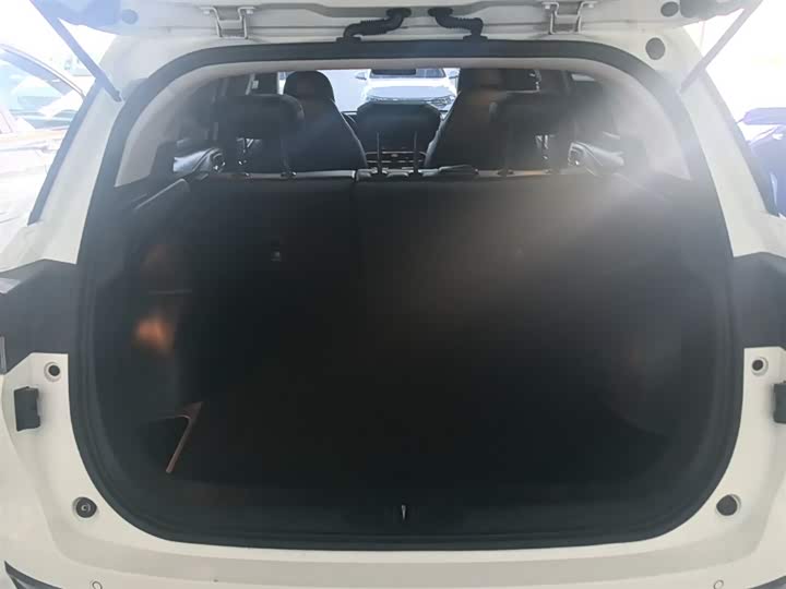 Trumpchi GS4 2020 270 T AT — фото 19