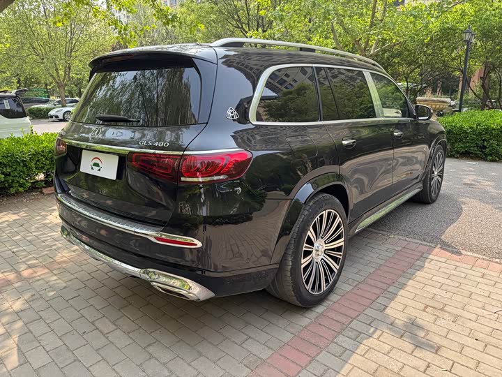 Maybach GLS 2022 GLS 480 4 MATIC — фото 6