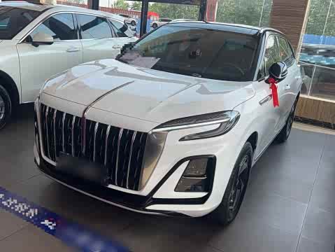 Hongqi HS3 2023 1.5 T 2 WD — фото 19