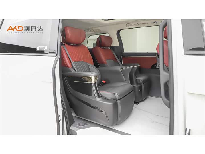 Trumpchi E9/2.0T/23 /MAX — фото 8