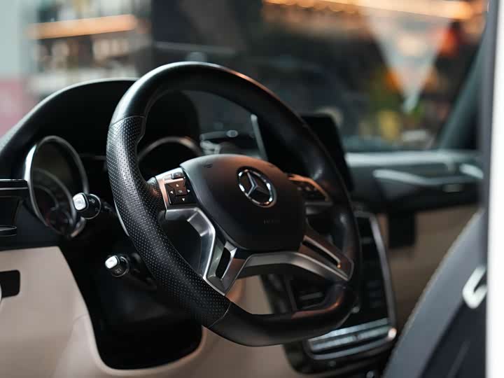 Mercedes-Benz G-Class 2016 AMG G 63 Edition 463 — фото 20