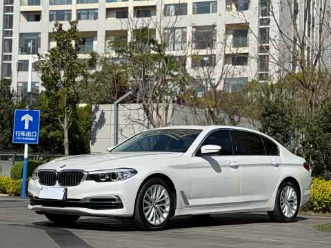 BMW 5-Series 2019 530 Li Leading — фото 45