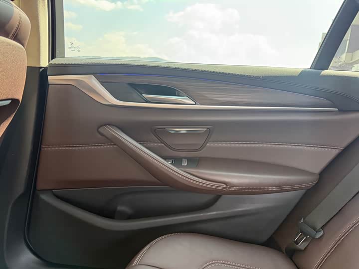 BMW 5-Series 2019 530 Li Leading — фото 33