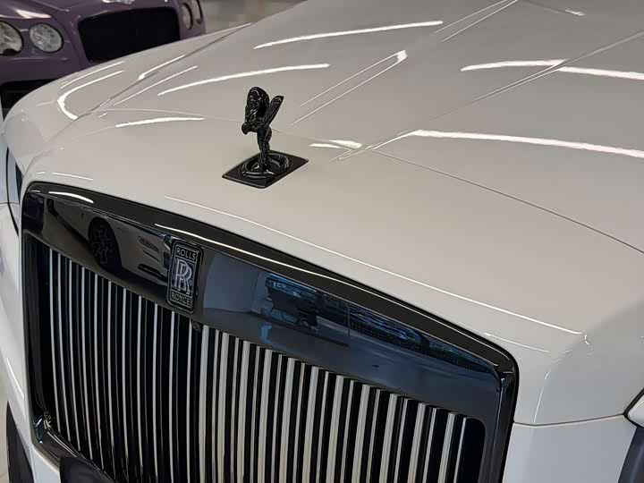 Rolls-Royce Cullinan — фото 13