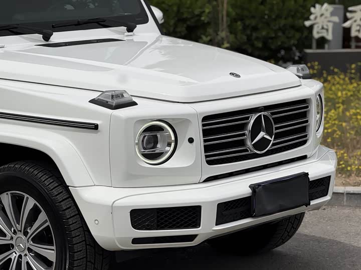 Mercedes-Benz G-Class 2019 G 500 — фото 13