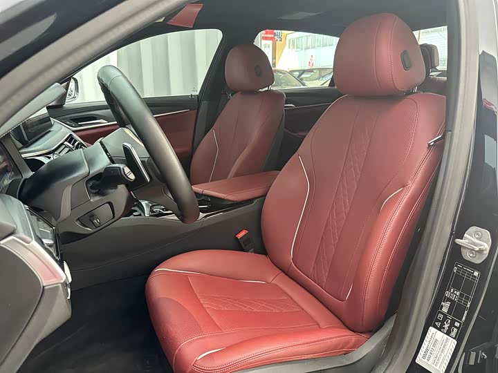 BMW 5-Series 2022 530 Li x Drive M — фото 20