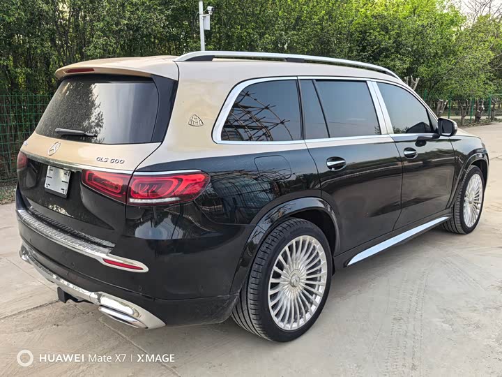 Mercedes-Benz GLS 2020 GLS 450 4 MATIC Luxury — фото 9