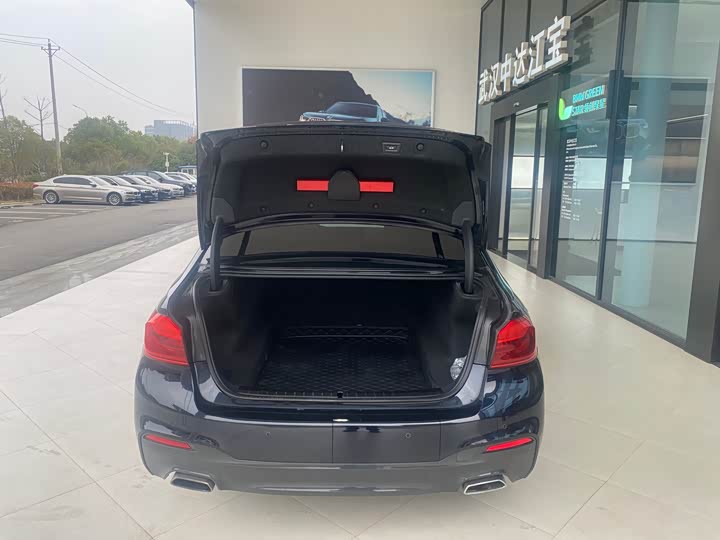 BMW 5-Series 2020 530 Li Leading M — фото 8