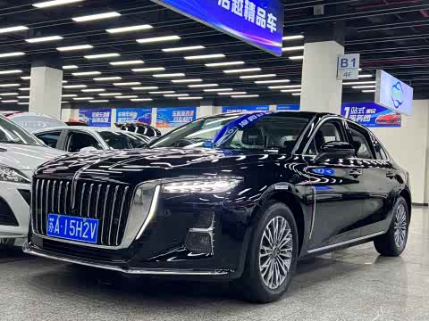 Hongqi H5 2025 1.5 T DCT — фото 29