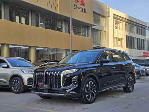 Hongqi HS7 PHEV 2024 2.0 T PHEV 4 WD 6 — фото 25