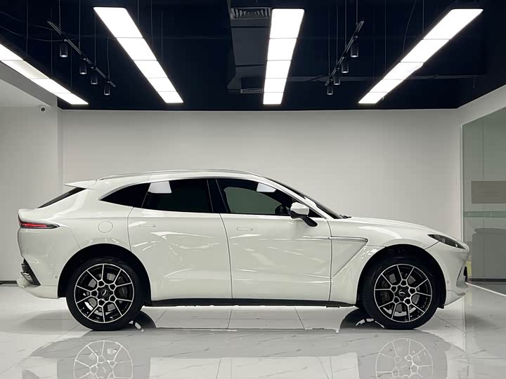 Aston Martin DBX 2021 4.0 T V 8 — фото 7