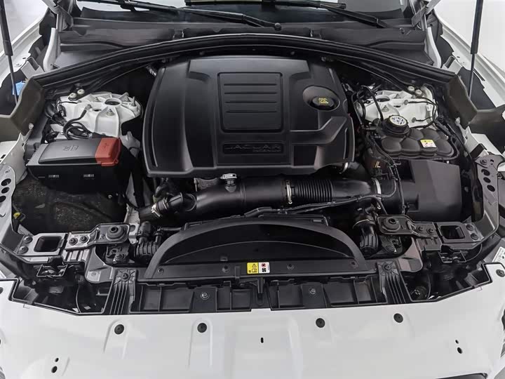 Jaguar F-PACE 2024 P 250 R-Dynamic SE — фото 6