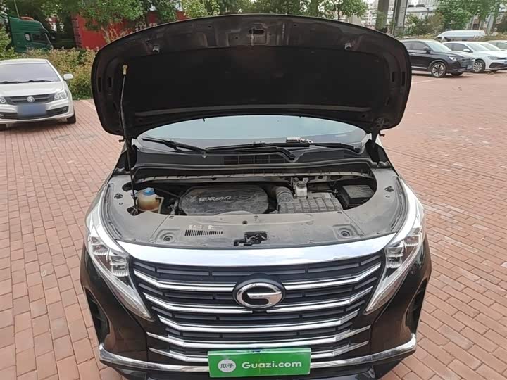 Trumpchi M8 2023 390 T — фото 20