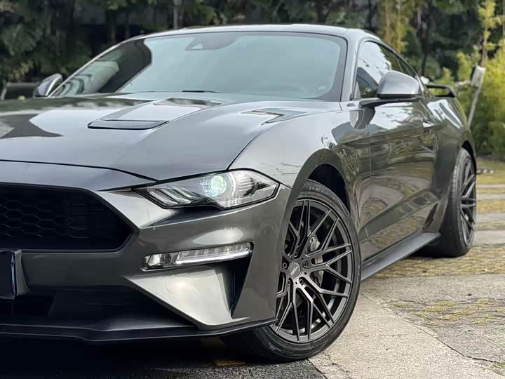 Ford Mustang 2020 2.3 L Eco Boost — фото 16