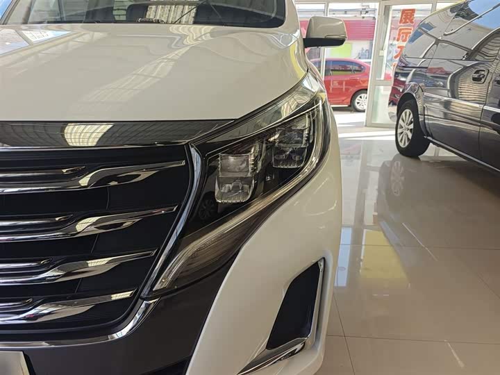 Trumpchi M8 2020 390 T — фото 18