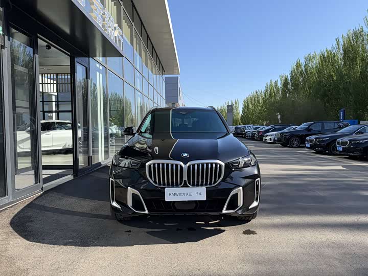 BMW X5 2023 x Drive 30 Li M — фото 2