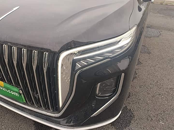 Hongqi HQ9 PHEV 2024 2.0 T 4 WD — фото 24