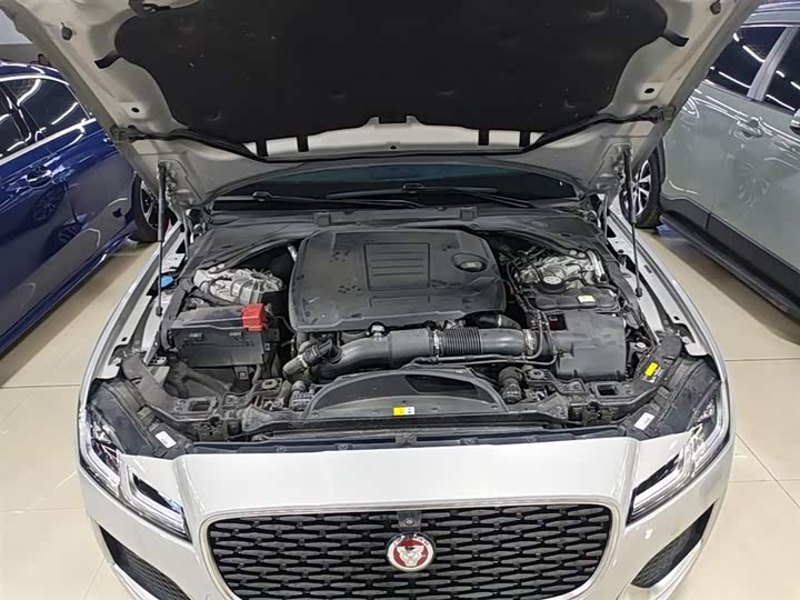 Jaguar XFL 2024 2.0 T P 250 2 WD — фото 20