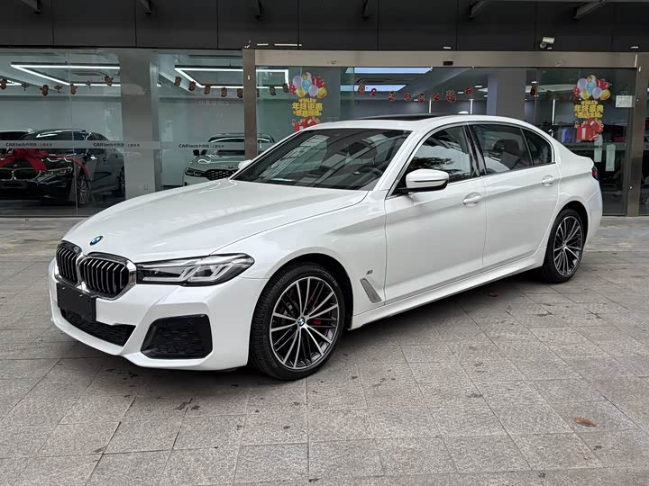 BMW 5-Series 2021 530 Li x Drive M — фото 1