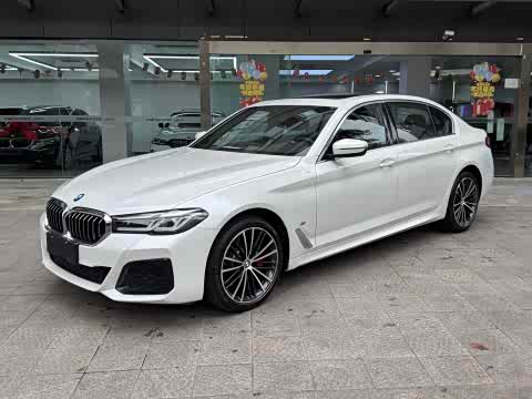 BMW 5-Series 2021 530 Li x Drive M — фото 20