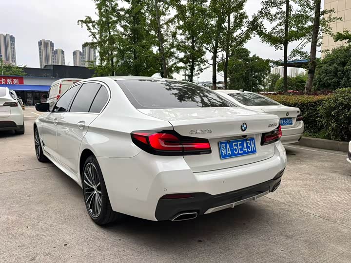 BMW 5-Series 2023 530 Li Leading M — фото 6