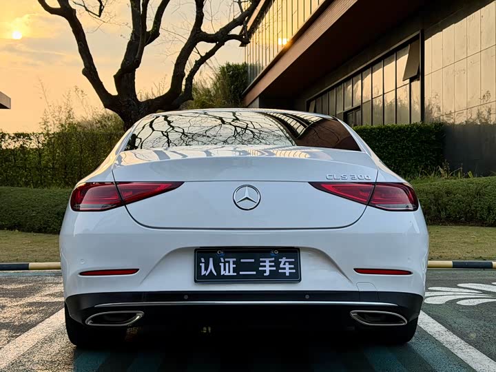 Mercedes-Benz CLS 2020 CLS 260 — фото 19