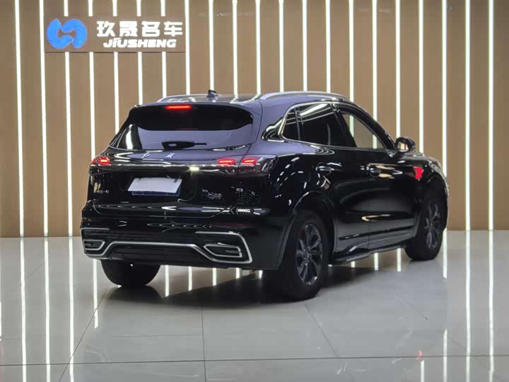 Hongqi HS5 2023 2.0 T Pro — фото 20