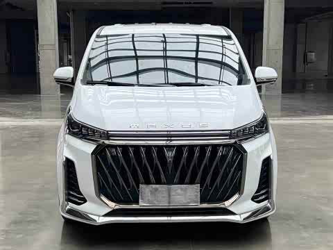 Maxus G20 2023 PLUS 2.0 T AT — фото 23