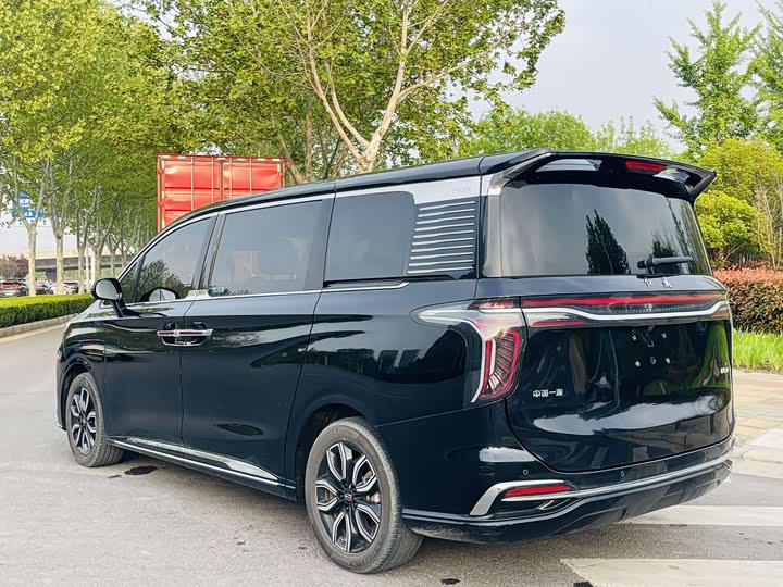 Hongqi HQ9 2023 2.0 T — фото 5