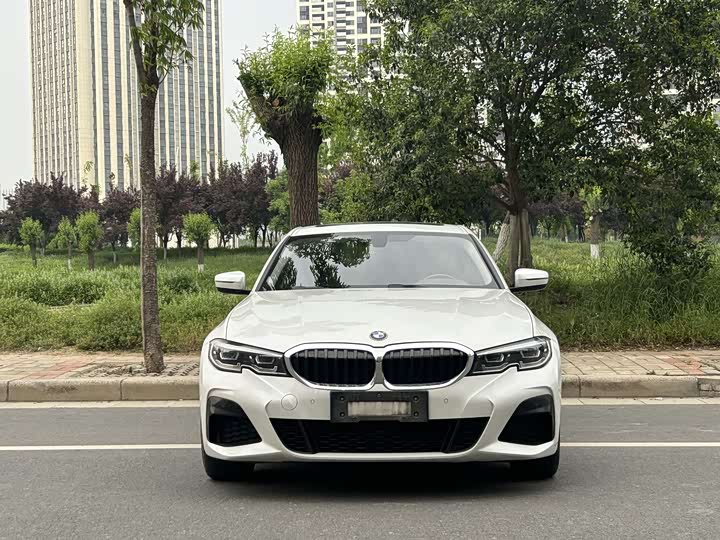 BMW 3 Series 320Li M спортпакет — фото 2