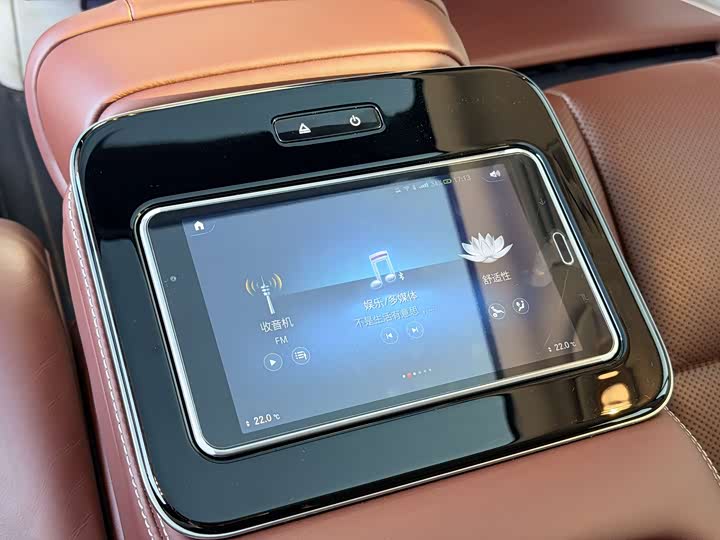 Maybach GLS 2021 GLS 480 4 MATIC — фото 13