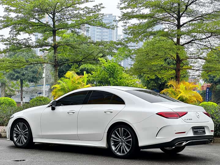 Mercedes-Benz CLS 2021 CLS 300 — фото 5