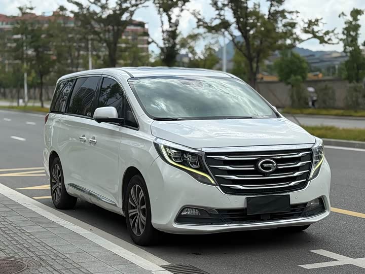 Trumpchi M8 2018 320 T — фото 3