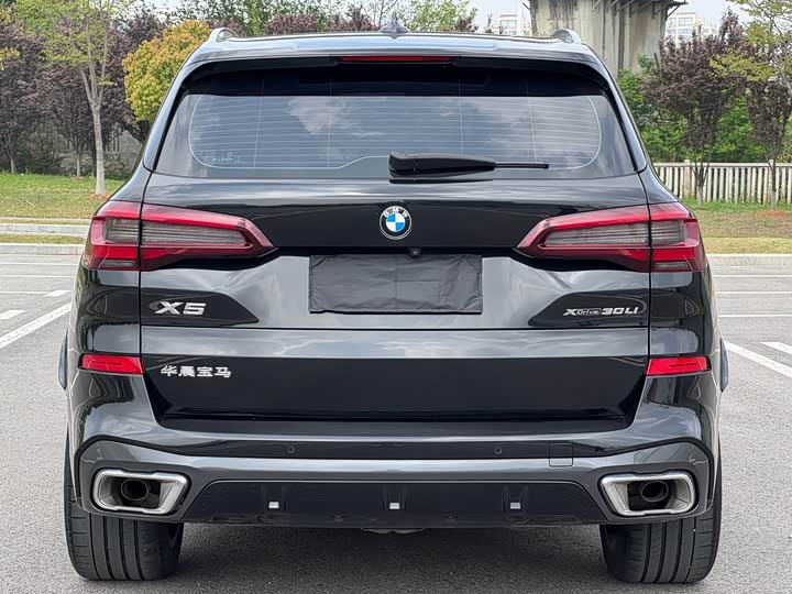 BMW X5 2022 x Drive 30 Li M — фото 8