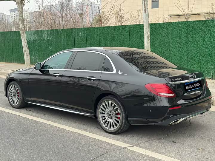 Mercedes-Benz E-Class 2017 E 300 L Luxury — фото 7