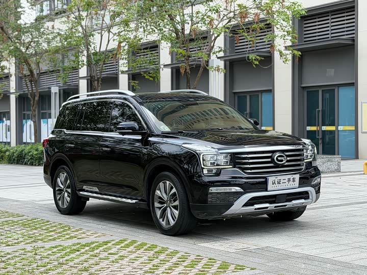 Trumpchi GS8 2017 320 T 2 WD ( ) — фото 3