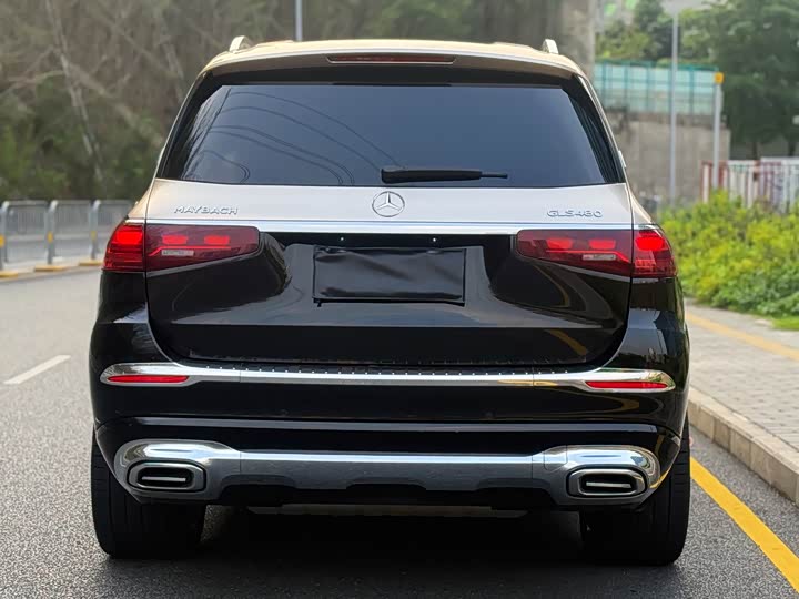 Mercedes-Benz GLS 2024 GLS 450 4 MATIC Luxury — фото 14
