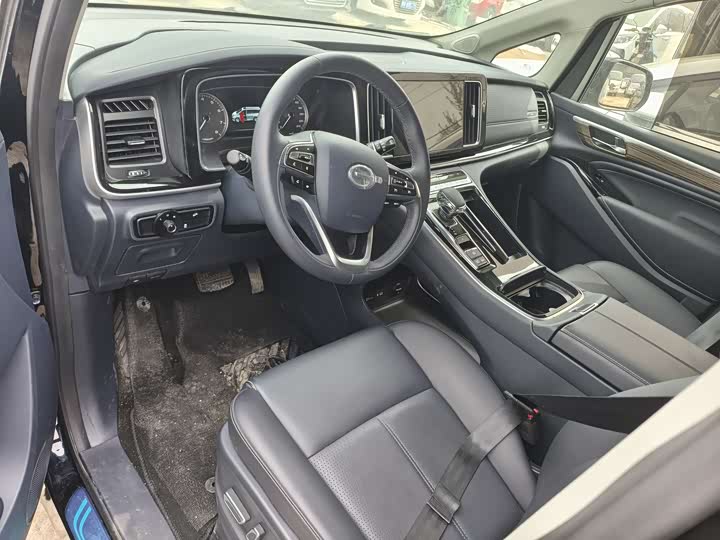 Trumpchi M8 2024 390 T — фото 4