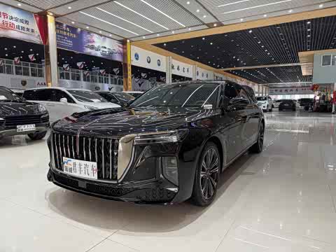 Hongqi H9 2024 2.0 T — фото 16