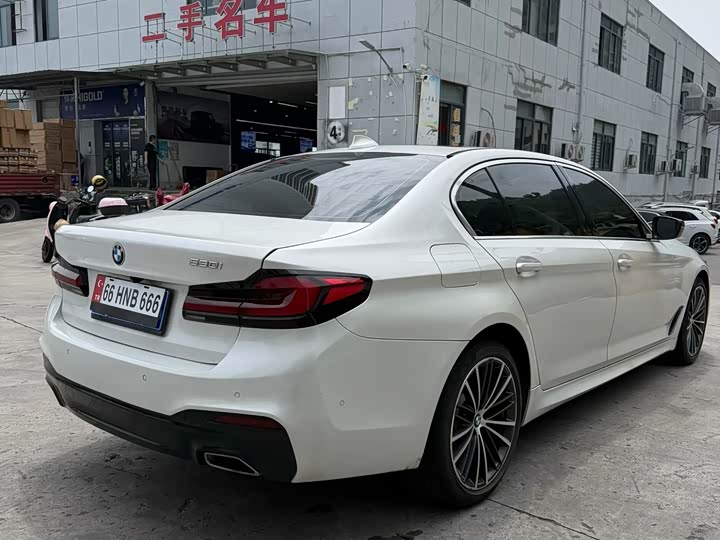 BMW 5-Series 2020 530 Li Leading M — фото 7