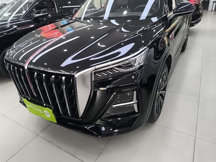 Hongqi HS5 2023 2.0 T 4 WD Pro — фото 24