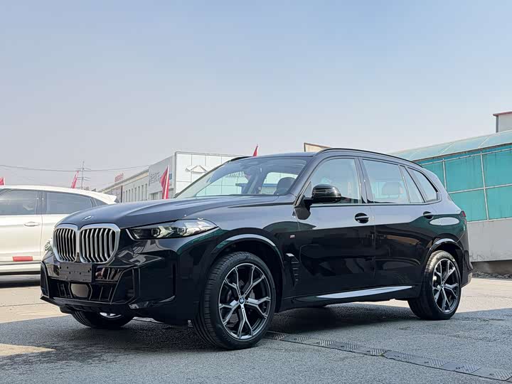 BMW X5 2025 x Drive 30 Li M — фото 1