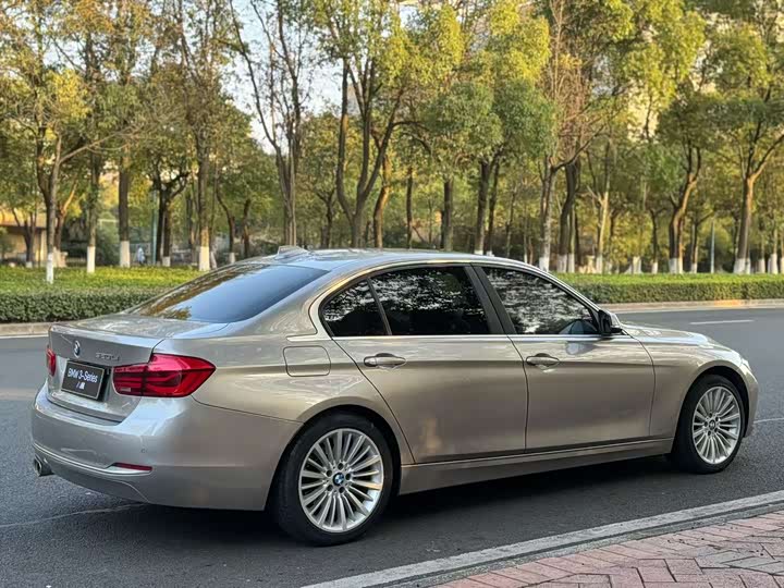 BMW 3-Series 2018 320 Li — фото 7